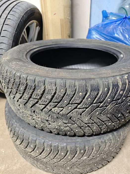 Автошины зимние шипованные