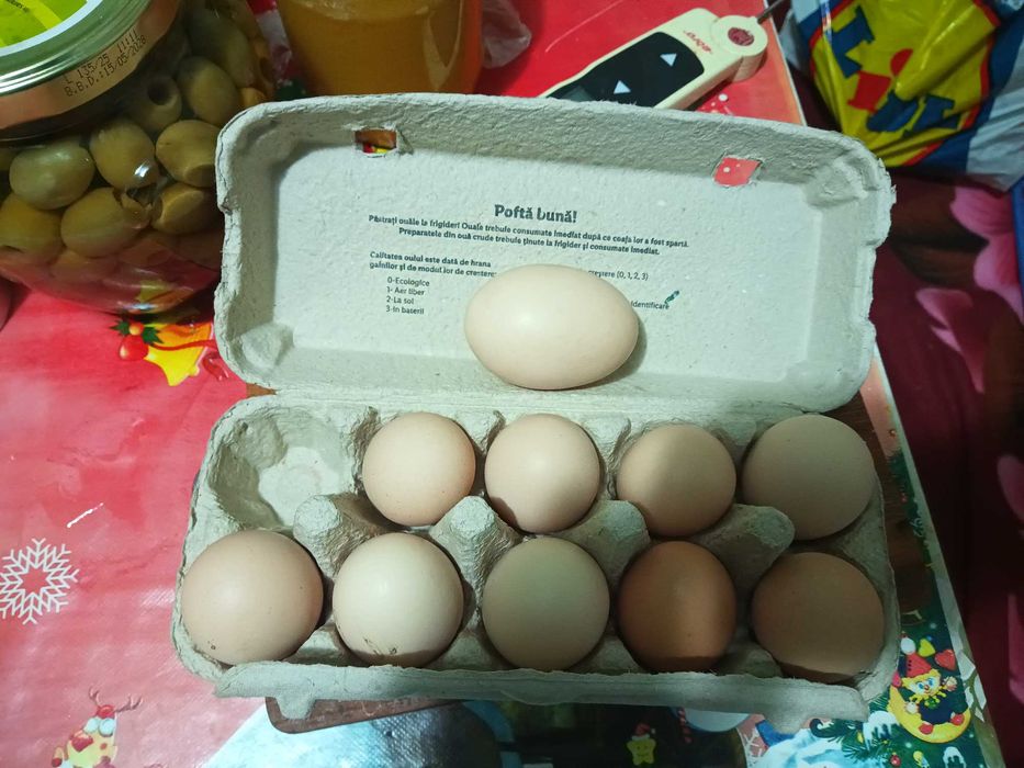 Ouă proaspete...