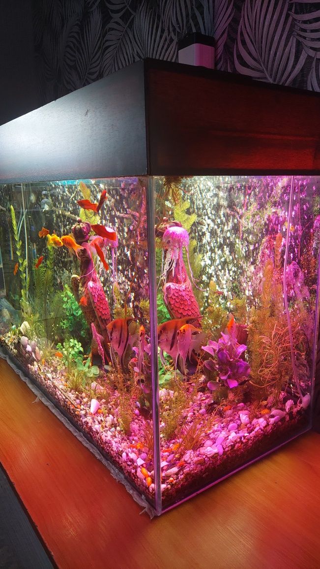 Продам аквариум на 130 литров.