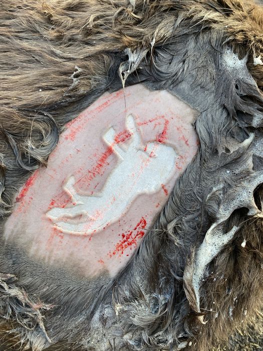 Тавро клемо танба 3000