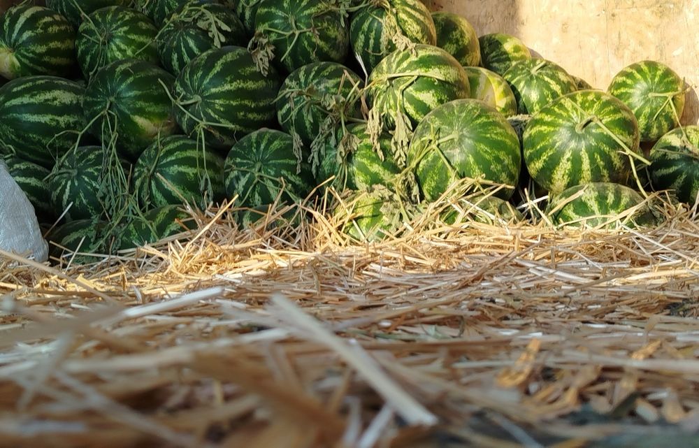 Yetkazib berish xizmati