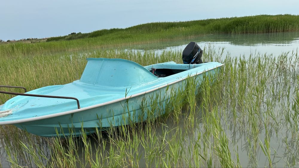 Продается лодка тунгус пластиковая с матором повертег 60 сил