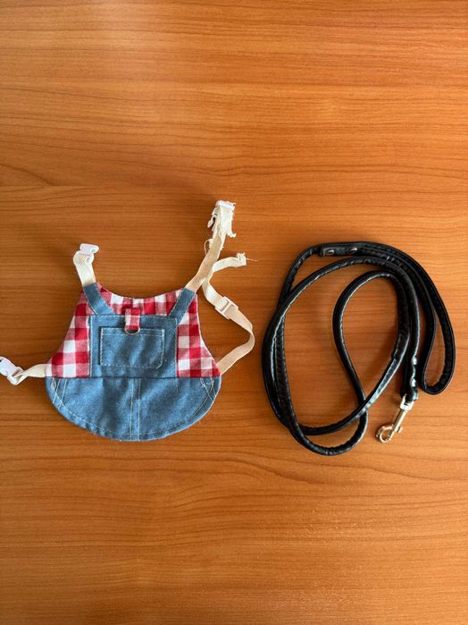 Дреха и повод за декоративно зайче