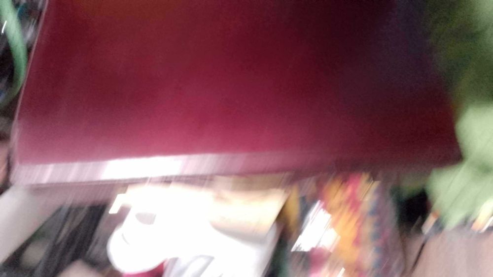 geanta diplomat franzen