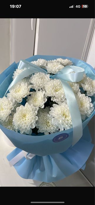 Цветы цветы сата