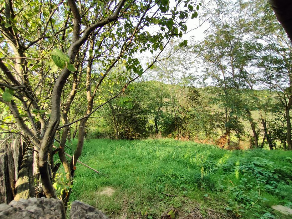 Vând casă și două anexe la Inuri