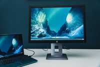 Monitor LED IPS HP EliteDisplay E242, 24", Full HD