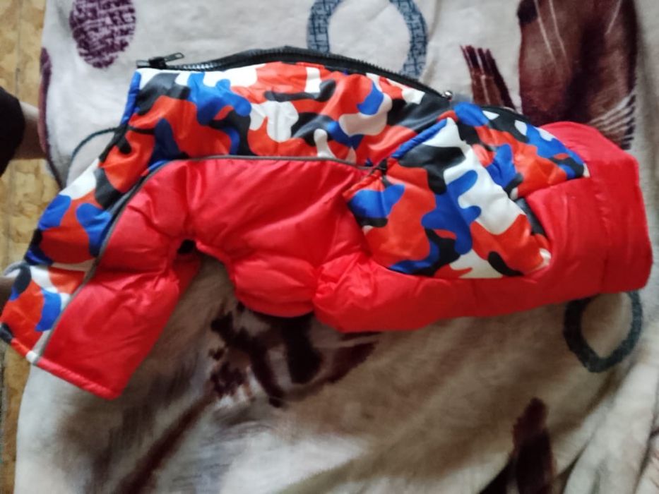 Комбинезон для маленькой собаки