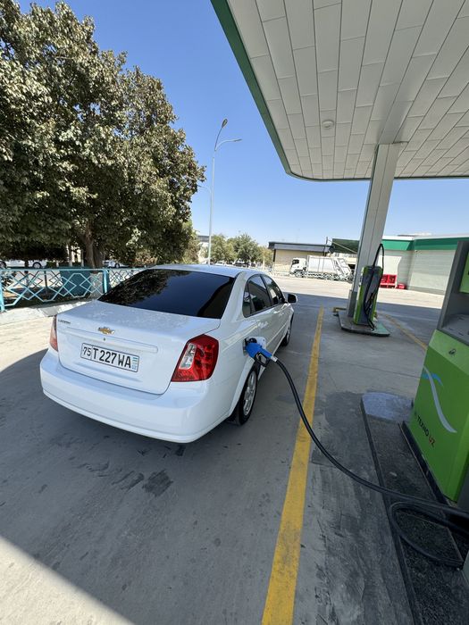 Жентра 2024 ат.