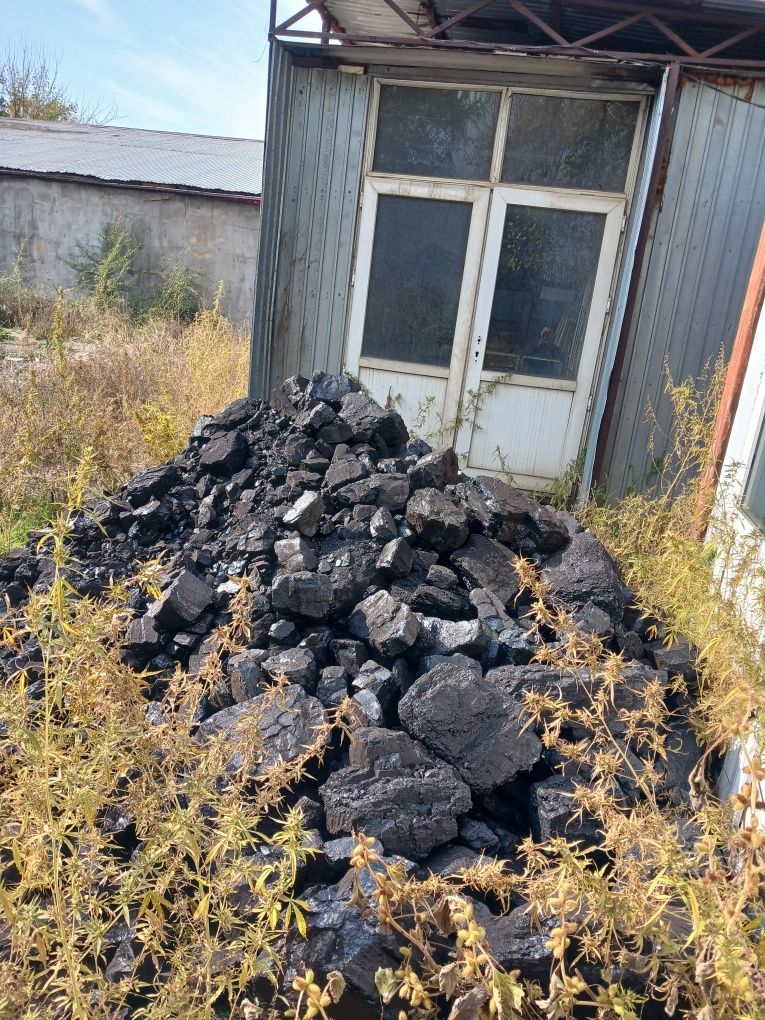 Уголь Шубаркуль Каражара