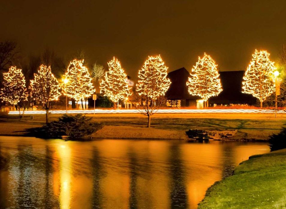 Гирлянда Ретро лампы дюралайт неон все виды освещение доставка по РК1