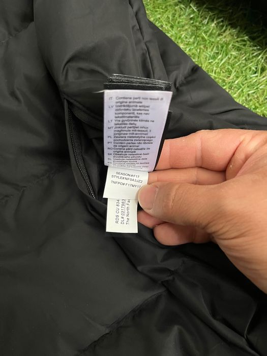 Мъжко пухено яке : THE NORTH FACE 550 L