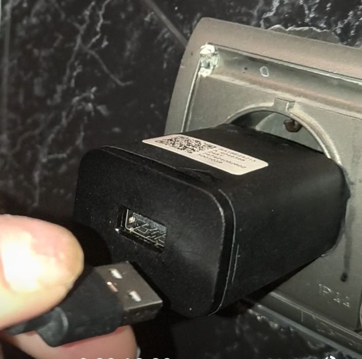 Красива забавна поилка за домашни любимци