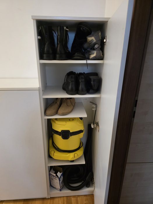 Dulapuri depozitare/pantofar