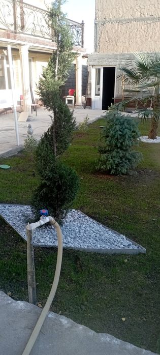 Landshaft dizayni  25000