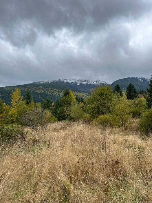 Teren de vanzare intravilan in Borsa, Maramures