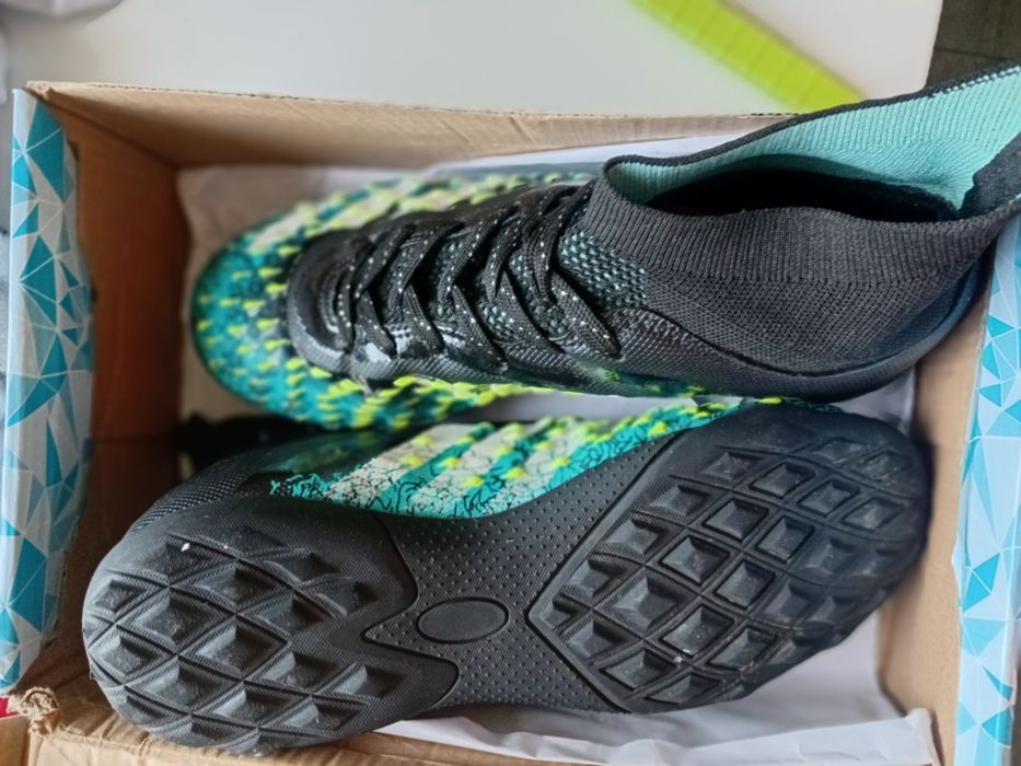 Сороконожки предатор