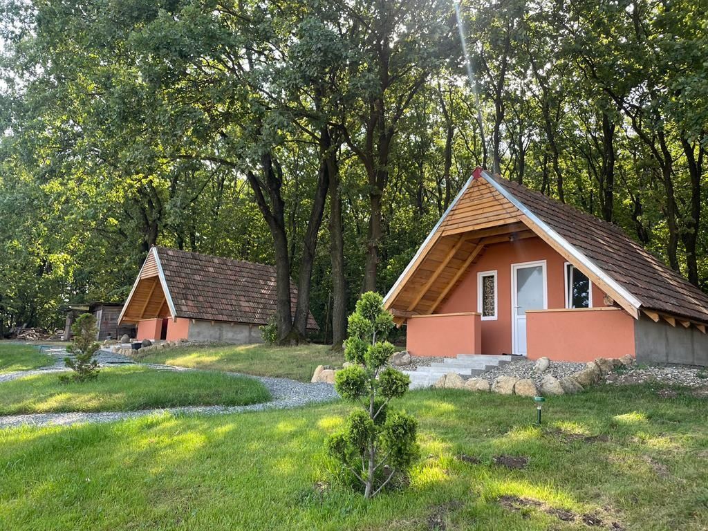 Cabana casă vacanță cu piscină(pe timp de vara)și jacuzzi