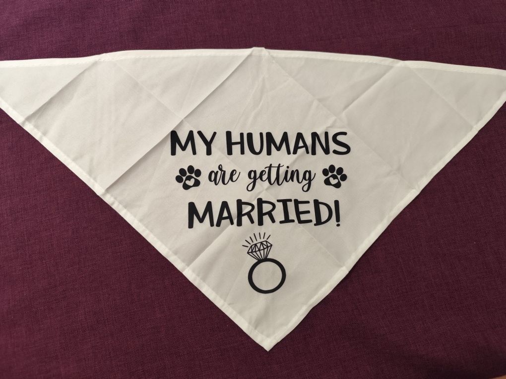 Кучешка бандана за сватба – "My Humans Are Getting Married" – 63x43 см