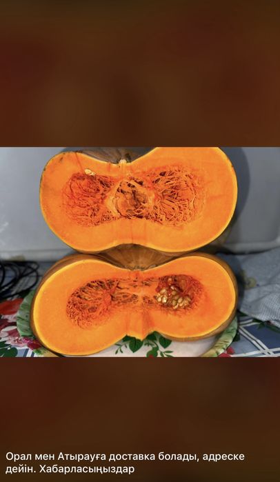 Продам Асқабақ/тыква