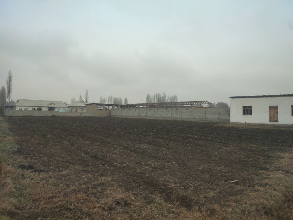 24 sotix 1sotixgi 3000$ dan dacha qimoqchi boganlarga yaxshi joy 2xona