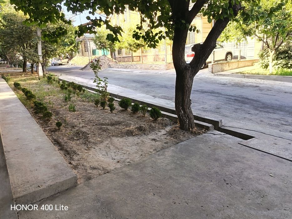 Ibn sino taxta bozorni oldidan uchaska sotiladi