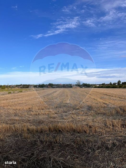 Teren intravilan de vanzare