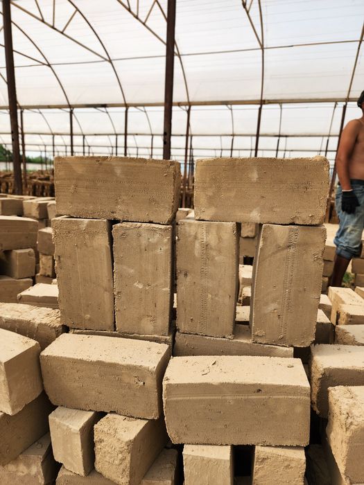 Hom gish va pishgan gish