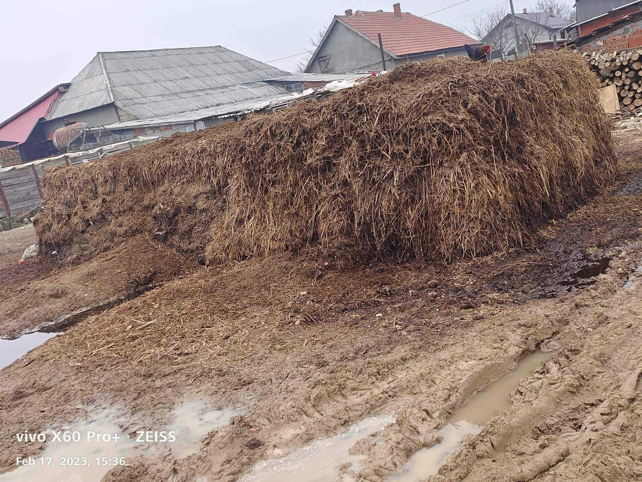 Vând  gunoiii comuna apa