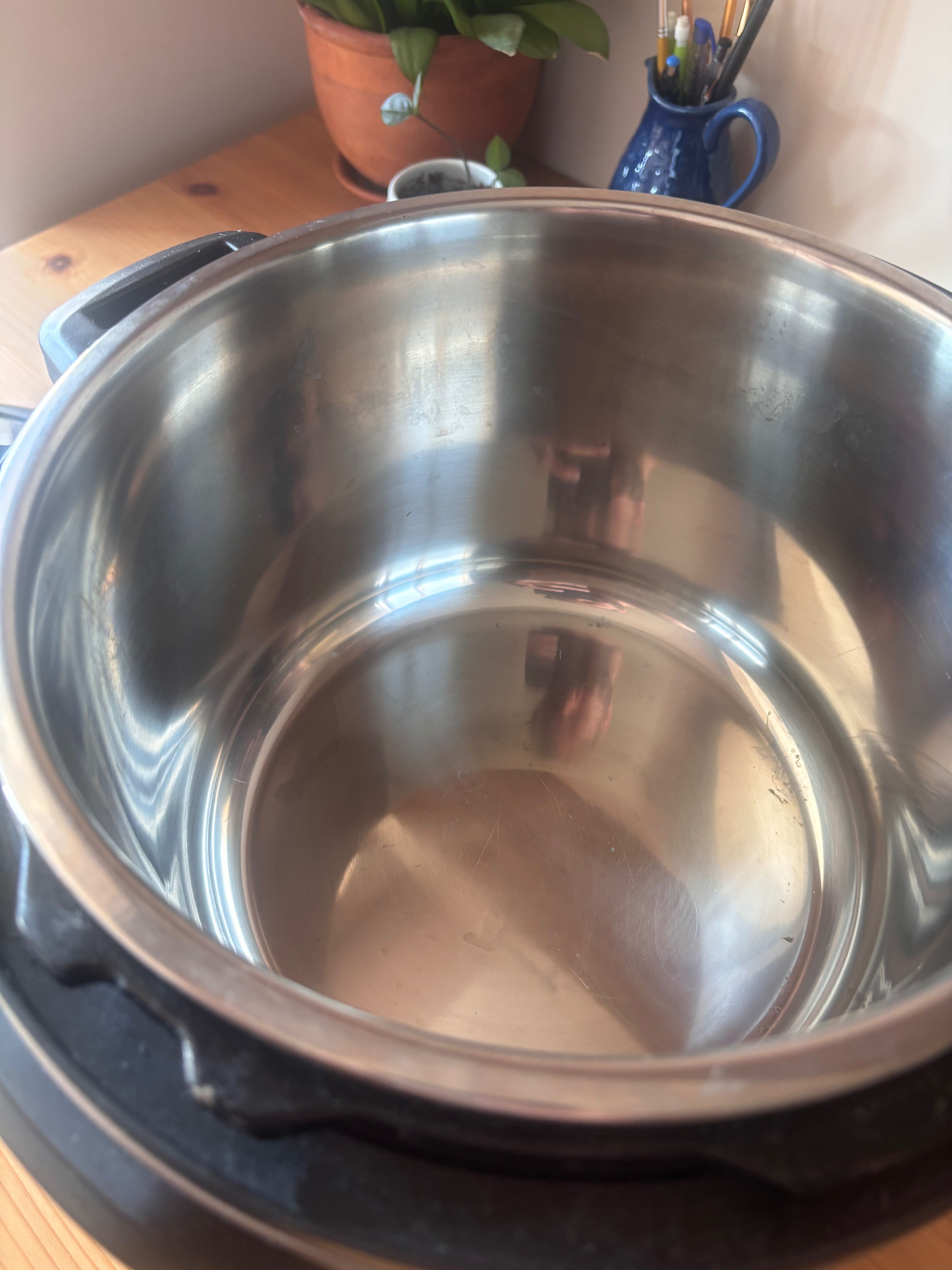 Instant Pot Duo Nova 60