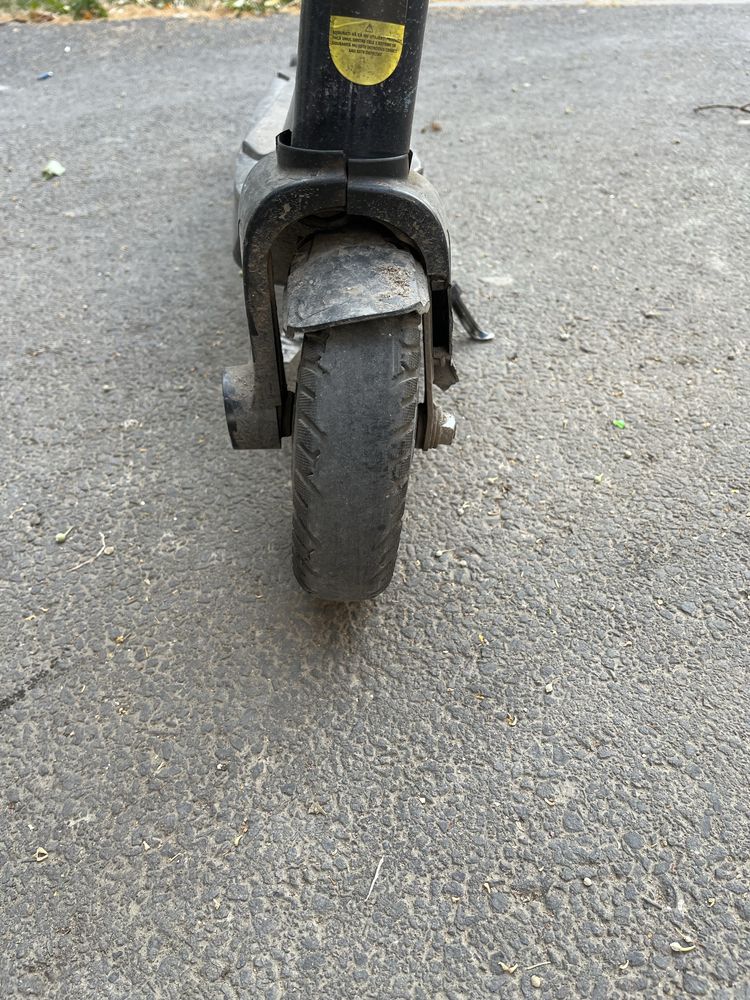 Vand trotineta electrica Freewheel Rider 4 light-up