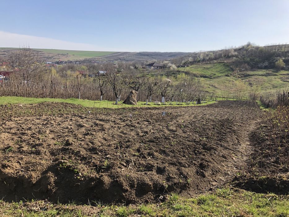 Teren Miroslava-Sat Vorovesti(gaz-curent-asfalt-apa)-INTRAVILAN-