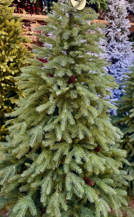 Елка елки зеленые, снежные, с шишками, красной рябиной