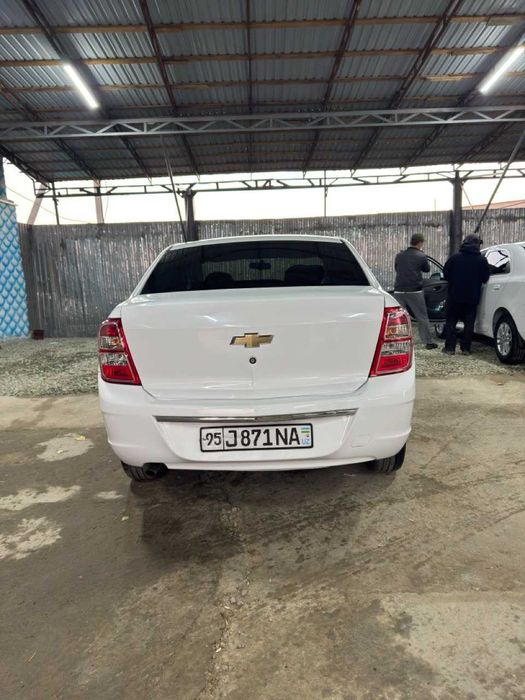 Кобальт 2023 Ходжейли