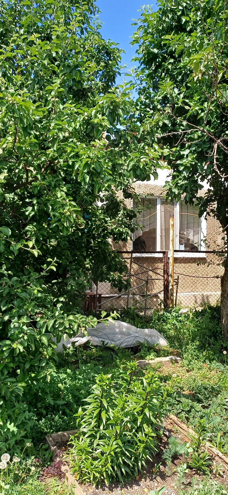 Продам дом в Пригородном  или обменяю на 1 ком квартиру с  доплатой