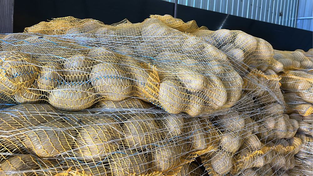 Cartofi consum alb si rosu