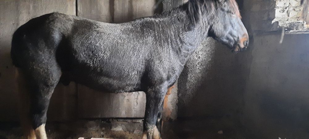 Срочно Продается!!!