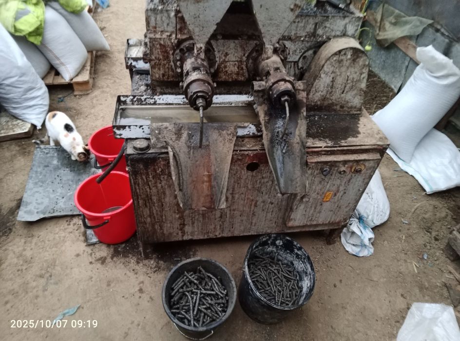 Șrot floarea soarelui (prima presa)