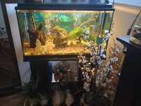 Acvariu 120 L utilat clmplet