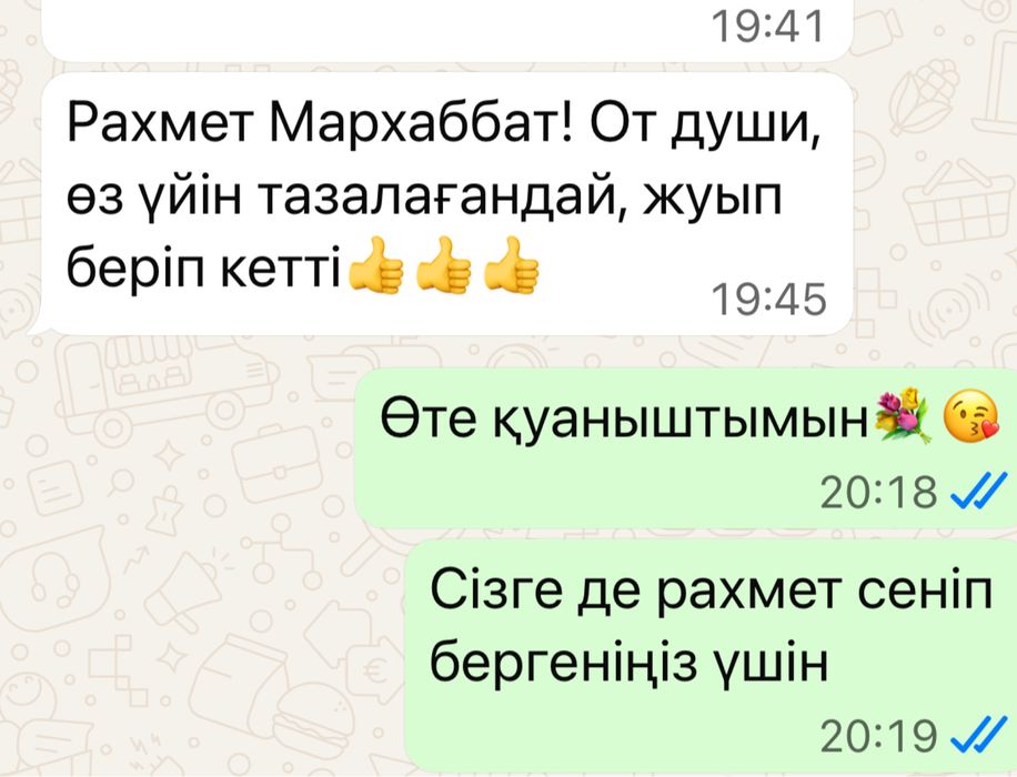 Парогенератормен үй тазалаймыз. Химчистка