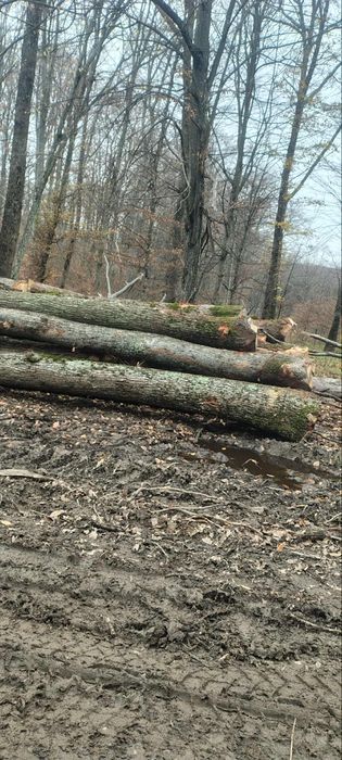 Vand lemne de foc esenta tare