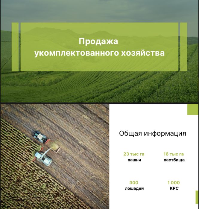 Действующее сельхоз предприятие