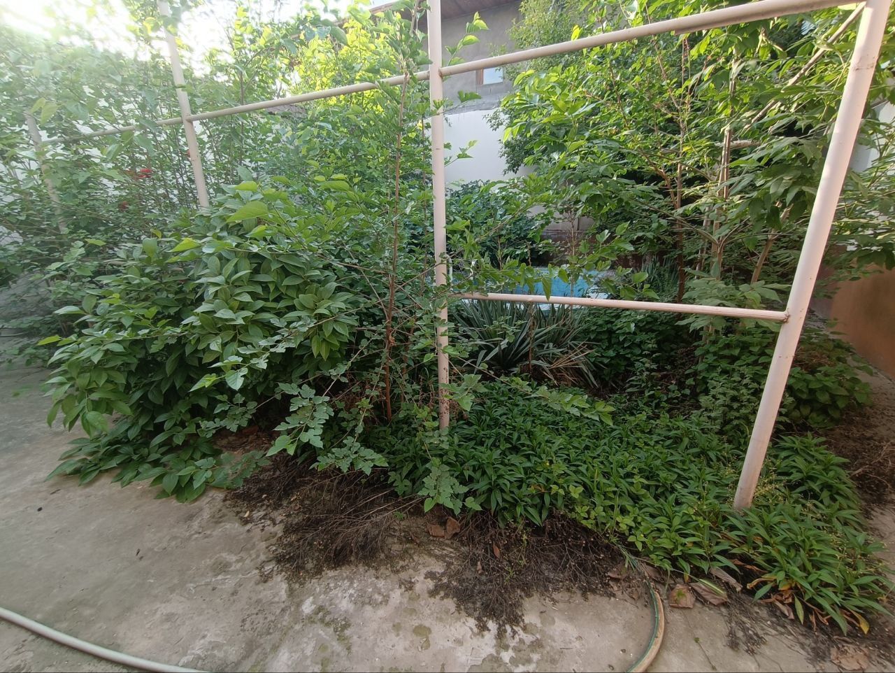 Рокат Махалля 2,3 сотки дом из 3 комнат