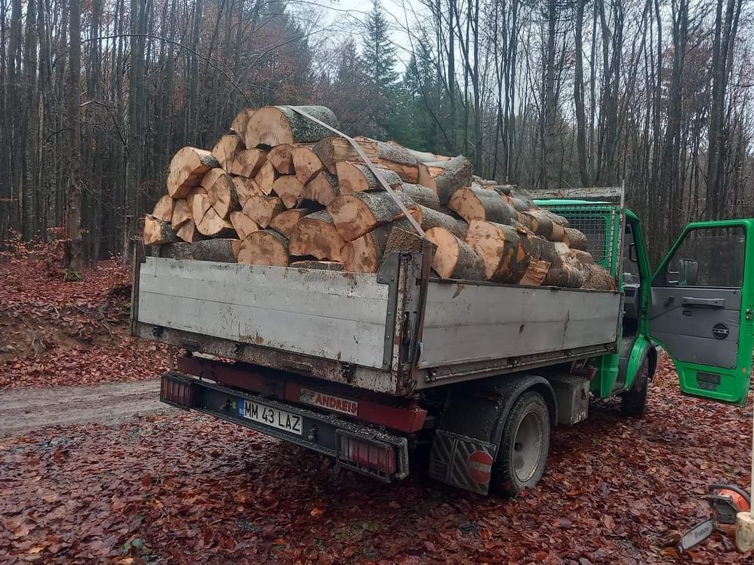 Vând lemne de foc faiate la dimensiunea dorita calitate bună!