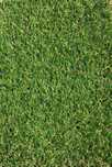 Gazon Artificial Premium, Inaltime Fir 20mm, Imitatie Fire Uscate