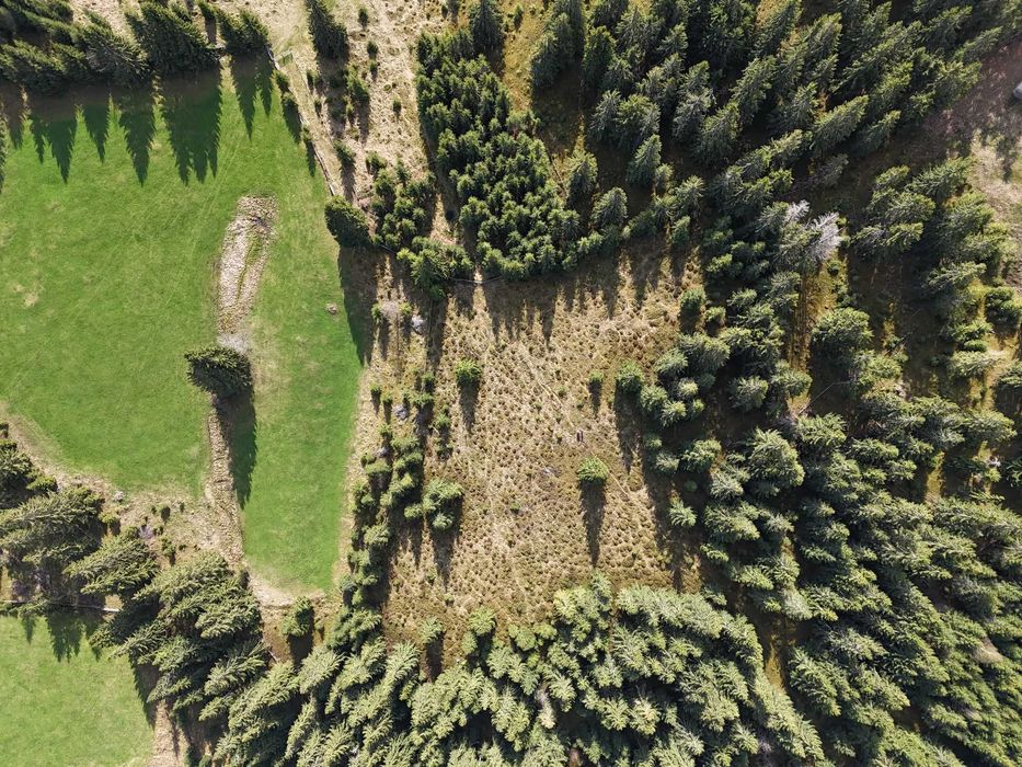 Teren Intravilan Marisel  - ideal pentru cabane sau glamping