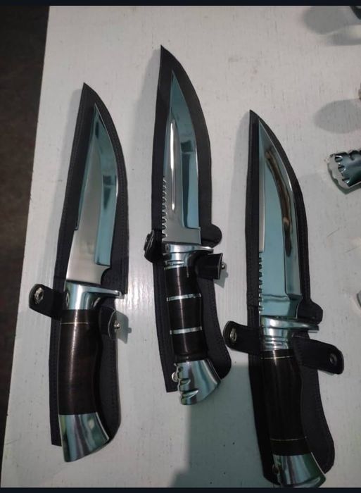 Ножы Хашка из клапана тепловоза.