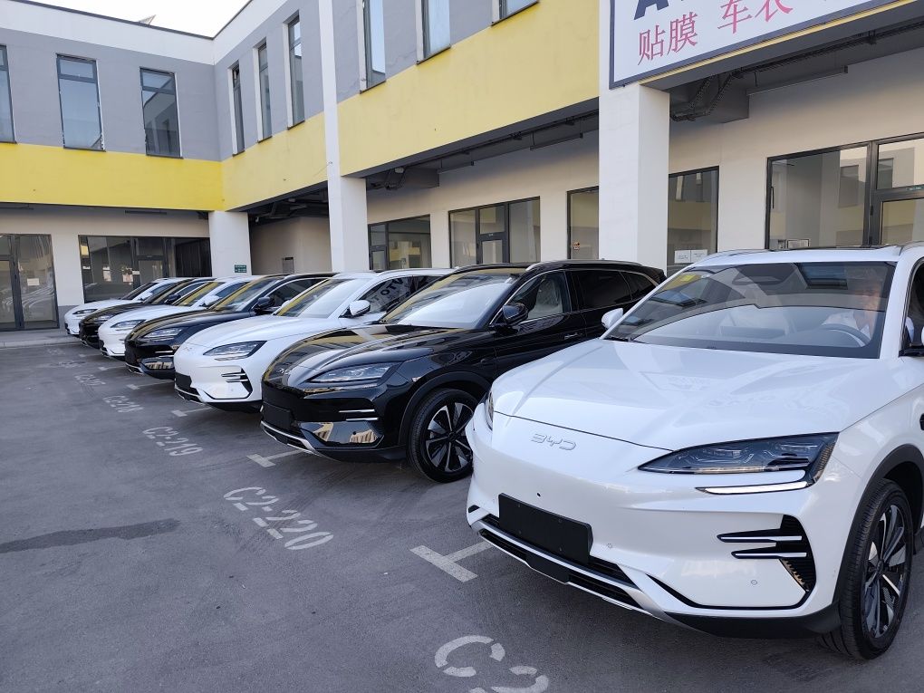 Byd song plus champion ev