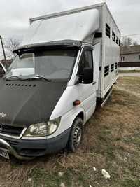 Mercedes sprinter transport animale