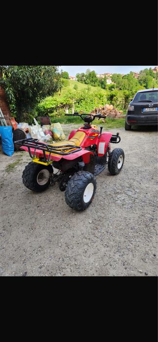 Polaris trailblazer 250 2t si ycf 90cc
